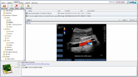 New Document Management System for Q-path