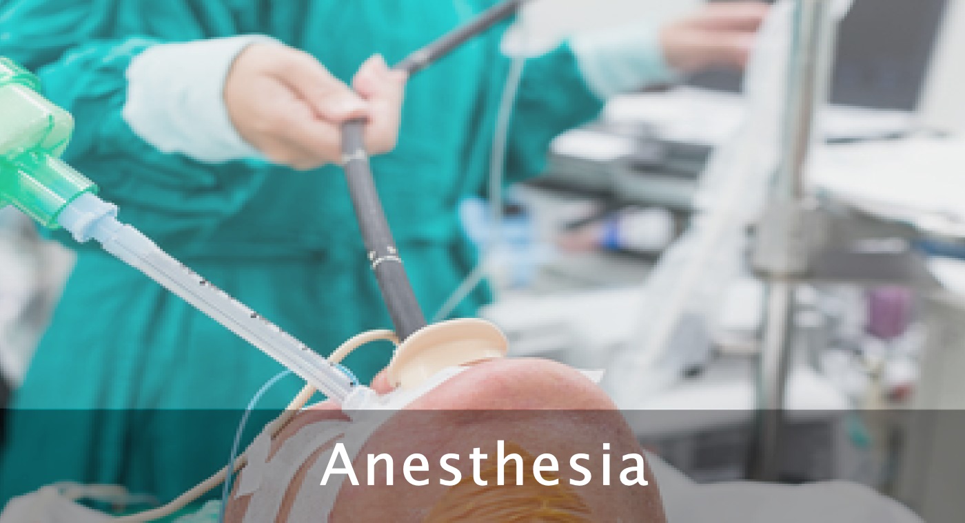 Anesthesia Anesthesia
